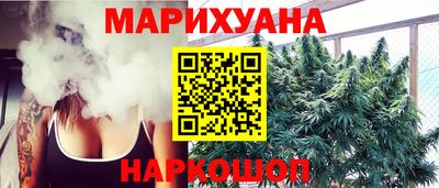 сатива Кинель