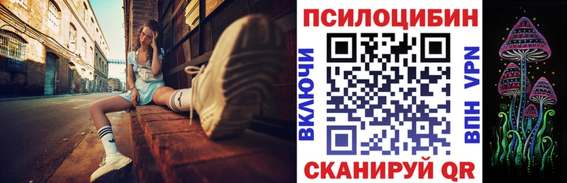 цена наркотик  Шебекино  blacksprut сайт  Псилоцибиновые грибы Psilocybine cubensis 