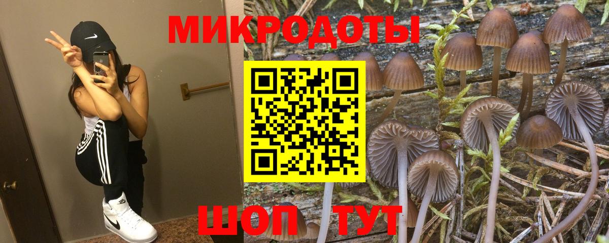 сколько стоит  Вход с VPN  Шебекино  Галлюциногенные грибы прущие грибы 